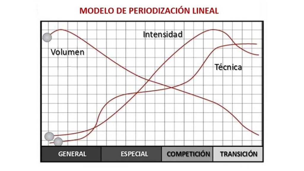 Gráfico del modelo de periodización tradicional 